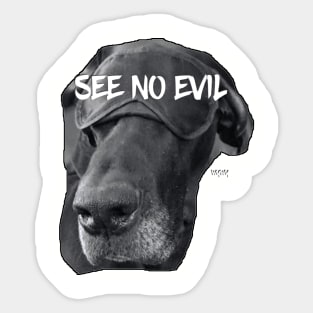 SEE NO EVIL Sticker